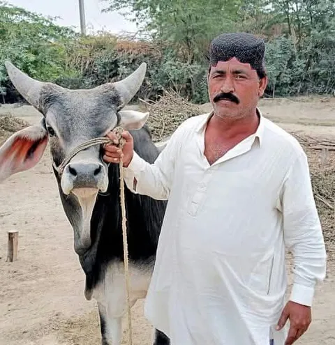 ڍاٽڪِي ثقافتي ڦوٽو