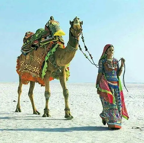 اِسڪول رو ڦوٽُو ٿۯ ري گان ۾